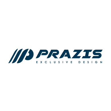 ПНЕВМО СТОЙКИ PRAZIS