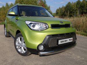 Защита передняя нижняя (овальная) 75х42 мм код KIASOUL14-01 для KIA SOUL 2014- 