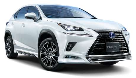 Аэродинамический обвес Modellista для Lexus NX200t (оригинал, Япония)