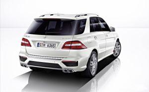 Насадки на глушитель AMG ML63 оригинал для Mercedes W166 2015-