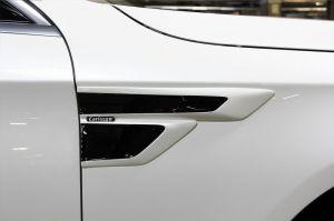 Накладки на передние крылья Carlsson для Mercedes S-class (V222), изготовленные из PUR (полеуретан).