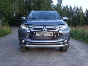 Защита передняя нижняя (овальная) 75х42 мм код MITPASPOR16-17 для MITSUBISHI PAJERO SPORT 2016-