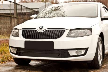 Реснички на фары под покраску (2 элем.), для авто Skoda Octavia A7 2013-